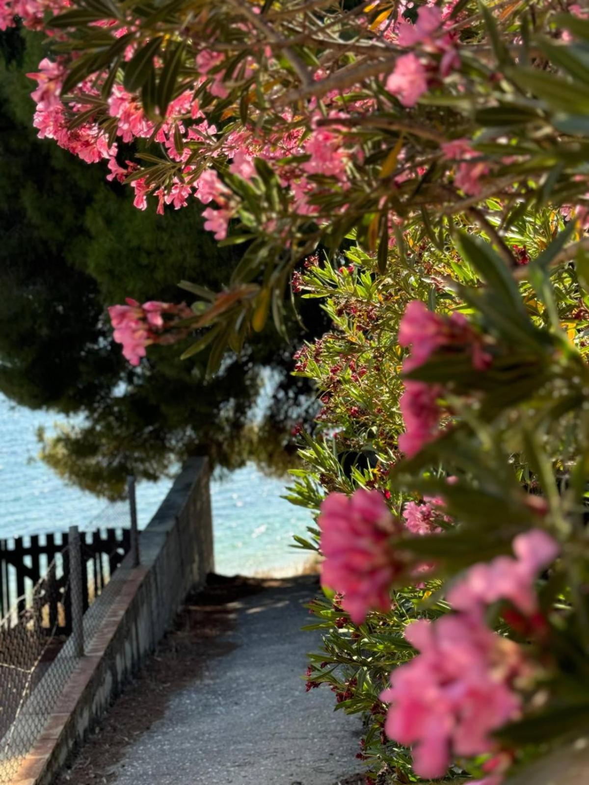 Villa Stadi Nikiti  Exteriér fotografie