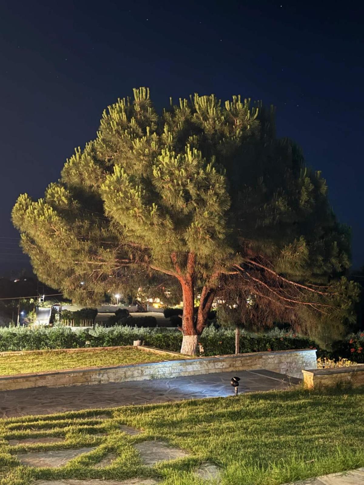 Villa Stadi Nikiti  Exteriér fotografie